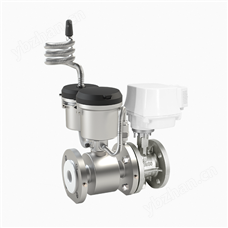 LDW系列物聯(lián)網(wǎng)閥控電磁水表