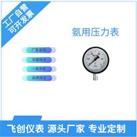 FC-YA氨用壓力表