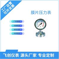 FC-YPF膜片壓力表
