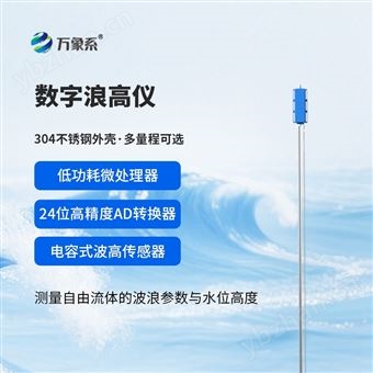 WX-LG1001米浪高儀