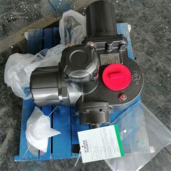 DZW整体调节阀门执行机构