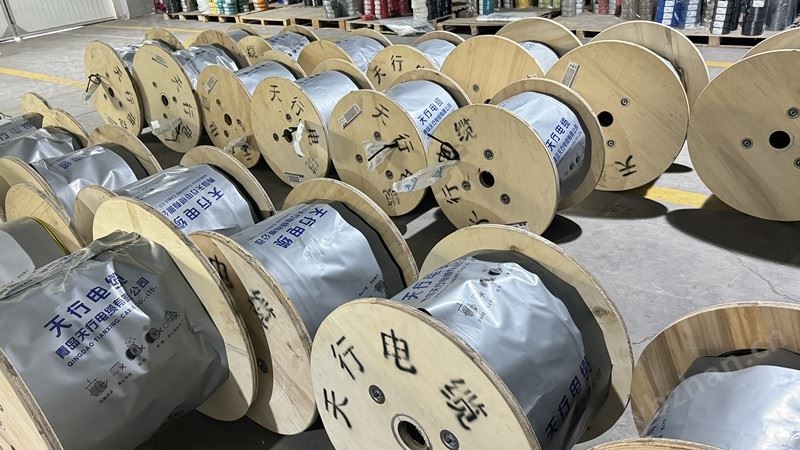 天行 CE認證電線RV單芯0.5 6 10 16 25平方