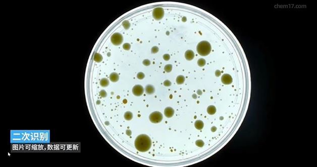 菌落分析快准稳，这款仪器必入！