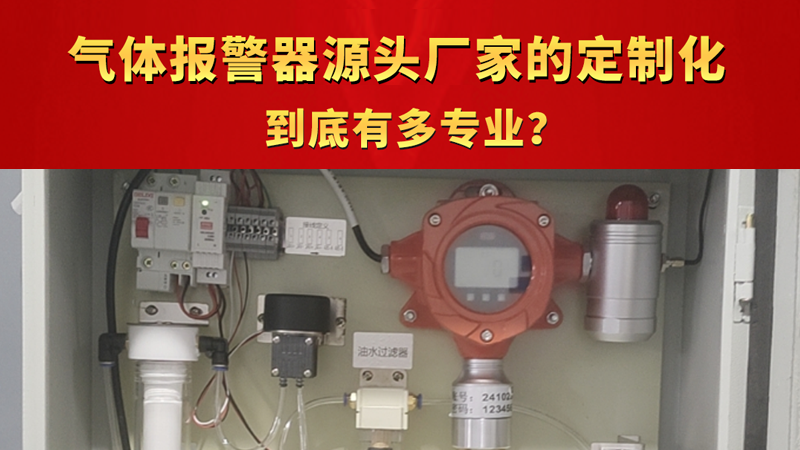 气体报警器yuan头厂家的定制化，到底有多专业？