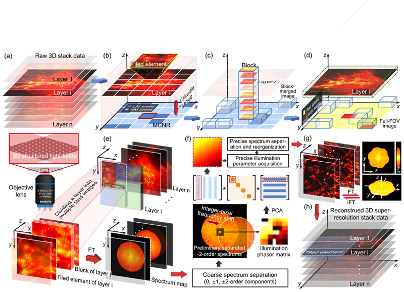 南京理工大学电光学院陈钱、左超教授团队在三维结构光照明显微成像领域最新研究进展