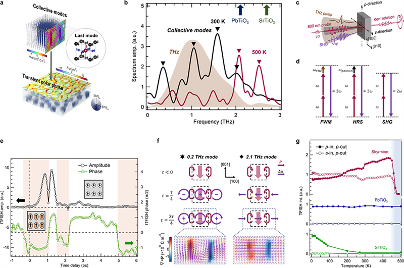 极性斯格明子集体动力学的太赫兹激发