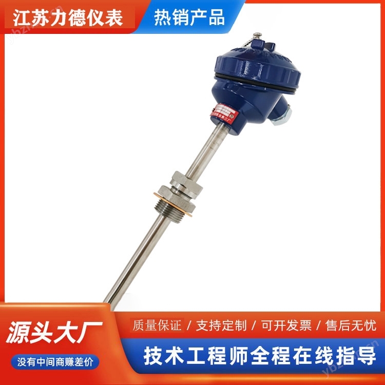 防爆热电阻WZP/WZC系列