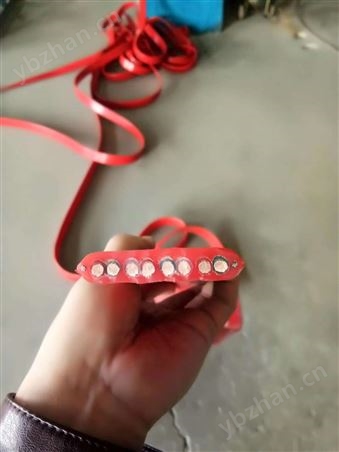 YVFBPG抗拉抗干擾扁平電纜  質量靠譜廠家