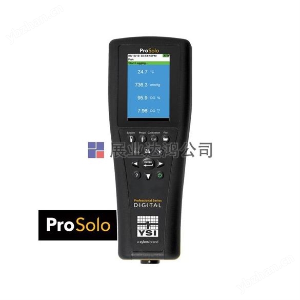 YSI ProSolo數字水質計