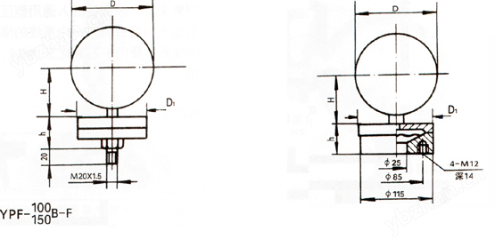 FC-YPF膜片压力表