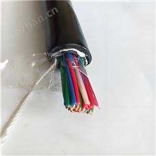 铁路信号电缆 PTYA23-8*1.0