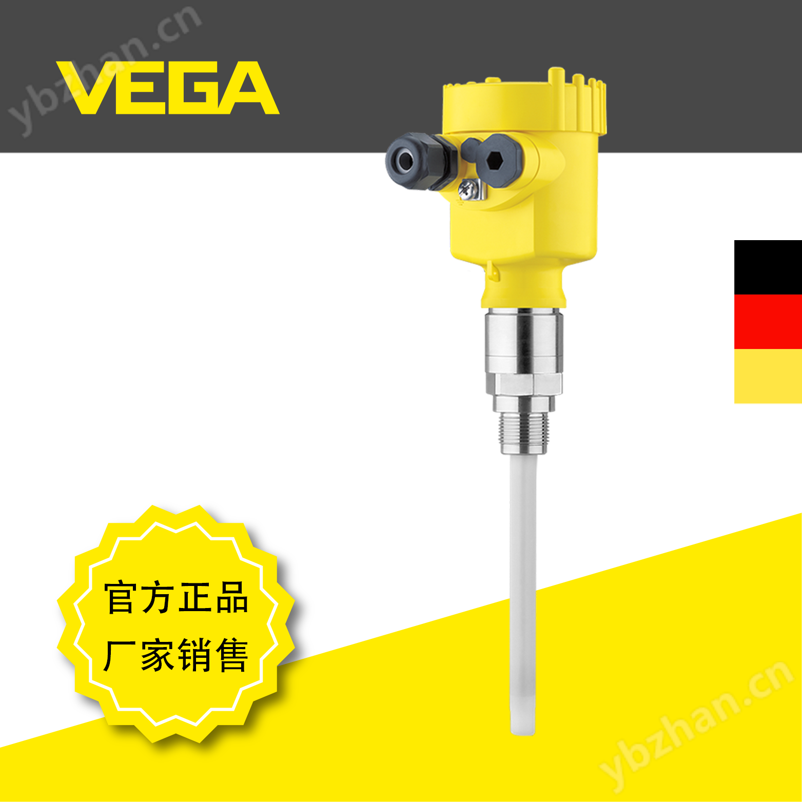 VEGACAP 64桿式電容物位開關(guān)粘附性介質(zhì)