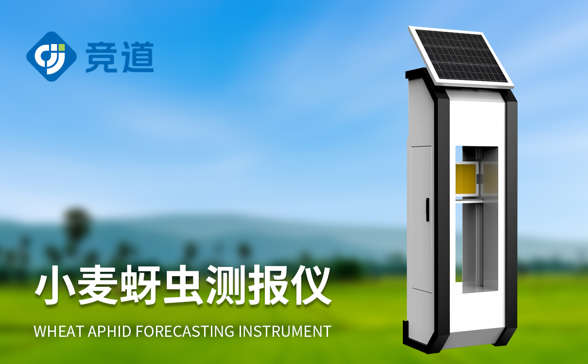 小麦蚜虫防治措施