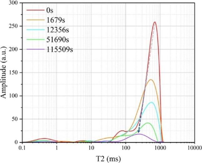 如何实现水合物氨基酸促进剂调控过程监测？低场核磁共振技术提供解决方案