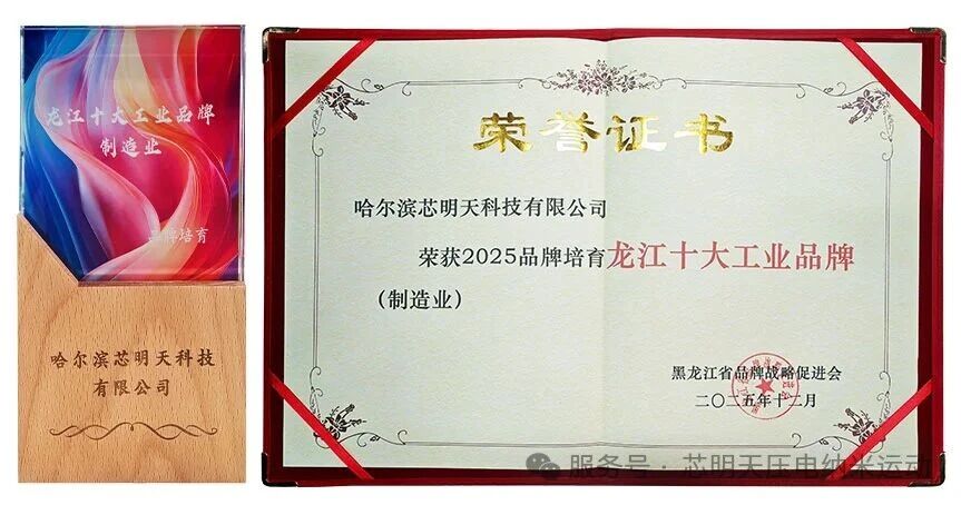 热烈祝贺芯明天荣获2025龙江<font class=