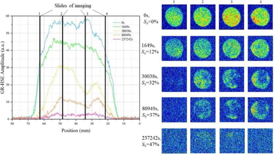 低場(chǎng)核共振實(shí)現(xiàn)水合物表面活性劑促進(jìn)劑調(diào)控過(guò)程的實(shí)時(shí)監(jiān)測(cè)與微觀機(jī)制揭示