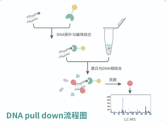图2.png