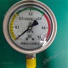 HL-Y100压力表