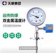 WSSP-481熱電偶雙金屬溫度計