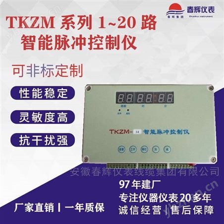 智能脉冲控制仪(生产厂家）